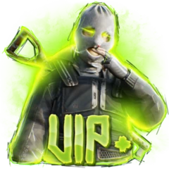 VIP+ rank badge